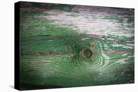 The Green Wood Texture with Natural Patterns-Madredus-Stretched Canvas