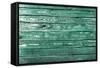 The Green Wood Texture with Natural Patterns-Madredus-Framed Stretched Canvas