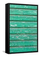 The Green Wood Texture with Natural Patterns-Madredus-Framed Stretched Canvas