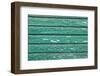 The Green Wood Texture with Natural Patterns-Madredus-Framed Photographic Print