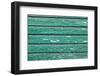 The Green Wood Texture with Natural Patterns-Madredus-Framed Photographic Print