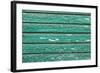 The Green Wood Texture with Natural Patterns-Madredus-Framed Photographic Print