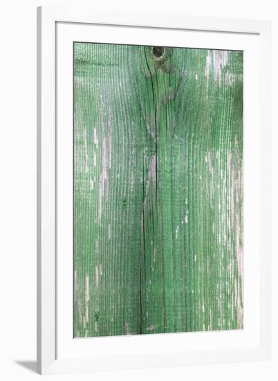 The Green Wood Texture with Natural Patterns-Madredus-Framed Photographic Print