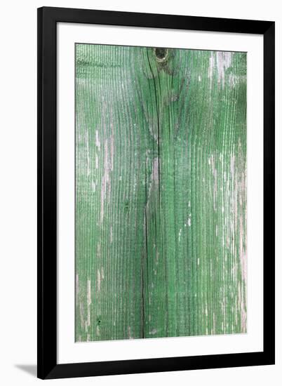 The Green Wood Texture with Natural Patterns-Madredus-Framed Photographic Print