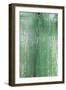 The Green Wood Texture with Natural Patterns-Madredus-Framed Photographic Print