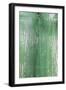 The Green Wood Texture with Natural Patterns-Madredus-Framed Photographic Print