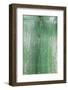 The Green Wood Texture with Natural Patterns-Madredus-Framed Photographic Print