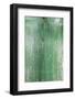 The Green Wood Texture with Natural Patterns-Madredus-Framed Photographic Print