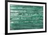 The Green Wood Texture with Natural Patterns-Madredus-Framed Photographic Print