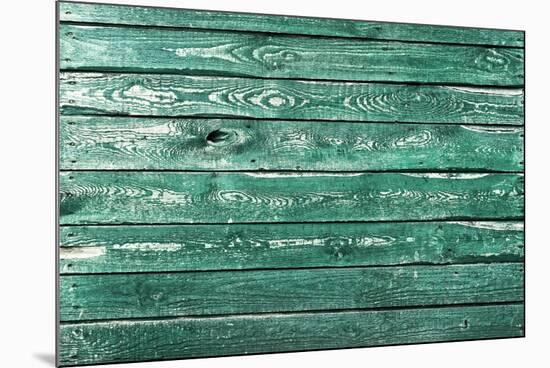 The Green Wood Texture with Natural Patterns-Madredus-Mounted Photographic Print