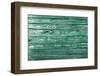 The Green Wood Texture with Natural Patterns-Madredus-Framed Photographic Print