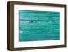 The Green Wood Texture with Natural Patterns-Madredus-Framed Photographic Print