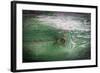 The Green Wood Texture with Natural Patterns-Madredus-Framed Photographic Print