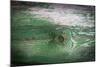 The Green Wood Texture with Natural Patterns-Madredus-Mounted Photographic Print