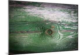 The Green Wood Texture with Natural Patterns-Madredus-Mounted Photographic Print