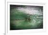 The Green Wood Texture with Natural Patterns-Madredus-Framed Photographic Print