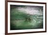 The Green Wood Texture with Natural Patterns-Madredus-Framed Photographic Print