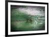 The Green Wood Texture with Natural Patterns-Madredus-Framed Photographic Print