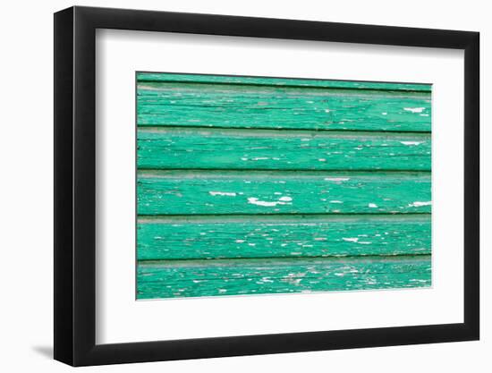 The Green Wood Texture with Natural Patterns-Madredus-Framed Photographic Print