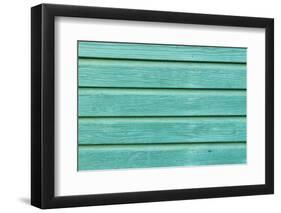 The Green Wood Texture with Natural Patterns-Madredus-Framed Photographic Print