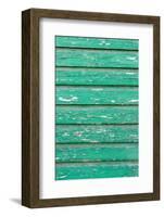 The Green Wood Texture with Natural Patterns-Madredus-Framed Photographic Print