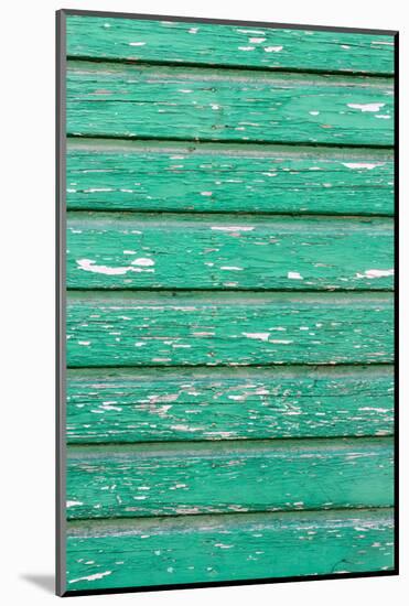 The Green Wood Texture with Natural Patterns-Madredus-Mounted Photographic Print