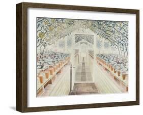 The Greenhouse: Cyclamen and Tomatoes-Eric Ravilious-Framed Giclee Print