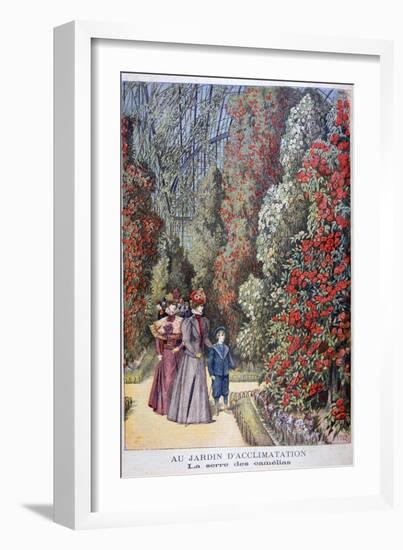 The Greenhouse of the Camellias, Zoological Gardens, Paris, 1897-Henri Meyer-Framed Giclee Print