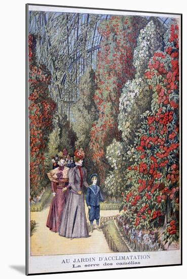 The Greenhouse of the Camellias, Zoological Gardens, Paris, 1897-Henri Meyer-Mounted Giclee Print