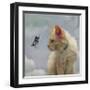 The Greeter-Diane Hoeptner-Framed Art Print