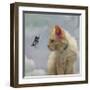 The Greeter-Diane Hoeptner-Framed Art Print