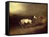 The Grey Arab-Sawrey Gilpin-Framed Stretched Canvas