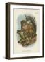 The Grey Gentle-Lemur-null-Framed Giclee Print