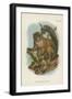 The Grey Gentle-Lemur-null-Framed Giclee Print