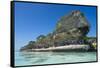 The grey Lekiny cliffs, Ouvea, Loyalty Islands, New Caledonia, Pacific-Michael Runkel-Framed Stretched Canvas