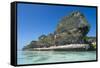 The grey Lekiny cliffs, Ouvea, Loyalty Islands, New Caledonia, Pacific-Michael Runkel-Framed Stretched Canvas