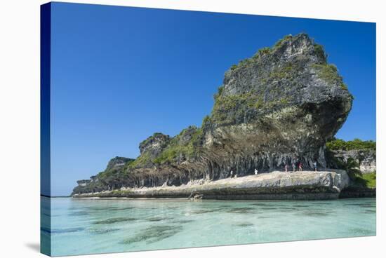 The grey Lekiny cliffs, Ouvea, Loyalty Islands, New Caledonia, Pacific-Michael Runkel-Stretched Canvas