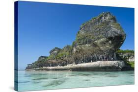 The grey Lekiny cliffs, Ouvea, Loyalty Islands, New Caledonia, Pacific-Michael Runkel-Stretched Canvas