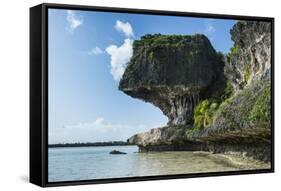 The grey Lekiny cliffs, Ouvea, Loyalty Islands, New Caledonia, Pacific-Michael Runkel-Framed Stretched Canvas