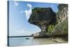 The grey Lekiny cliffs, Ouvea, Loyalty Islands, New Caledonia, Pacific-Michael Runkel-Stretched Canvas