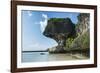 The grey Lekiny cliffs, Ouvea, Loyalty Islands, New Caledonia, Pacific-Michael Runkel-Framed Photographic Print