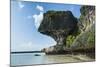 The grey Lekiny cliffs, Ouvea, Loyalty Islands, New Caledonia, Pacific-Michael Runkel-Mounted Photographic Print