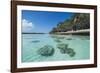 The grey Lekiny cliffs, Ouvea, Loyalty Islands, New Caledonia, Pacific-Michael Runkel-Framed Photographic Print