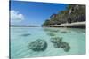 The grey Lekiny cliffs, Ouvea, Loyalty Islands, New Caledonia, Pacific-Michael Runkel-Stretched Canvas