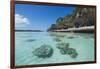 The grey Lekiny cliffs, Ouvea, Loyalty Islands, New Caledonia, Pacific-Michael Runkel-Framed Photographic Print