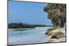 The grey Lekiny cliffs, Ouvea, Loyalty Islands, New Caledonia, Pacific-Michael Runkel-Mounted Photographic Print