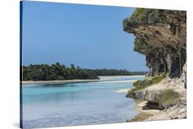 The grey Lekiny cliffs, Ouvea, Loyalty Islands, New Caledonia, Pacific-Michael Runkel-Stretched Canvas