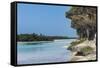 The grey Lekiny cliffs, Ouvea, Loyalty Islands, New Caledonia, Pacific-Michael Runkel-Framed Stretched Canvas