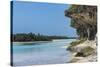 The grey Lekiny cliffs, Ouvea, Loyalty Islands, New Caledonia, Pacific-Michael Runkel-Stretched Canvas