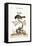 The Grey Redstart, 1749-73-George Edwards-Framed Stretched Canvas